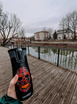 Kubek termiczny Contigo West Loop 2.0 470 ml - Catrina